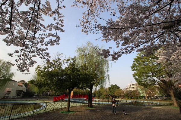 横浜市港北区仲手原2丁目　建築条件無売地　5980万円