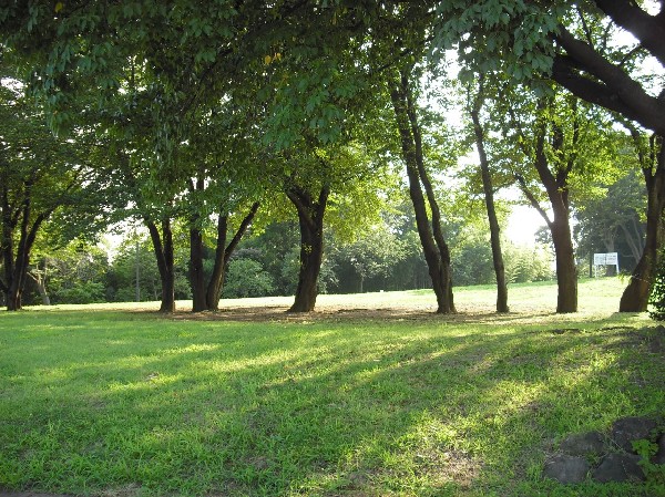 周辺環境:中川八幡山公園(緑豊かな公園で丘の上からの眺めはとても気持ちがよくニュータウンやその向こうの山々が見渡せる公園です。)