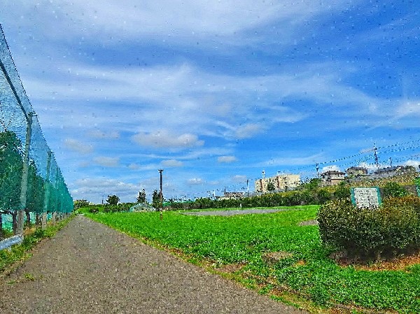 周辺環境:西長沢公園(敷地の大きい公園でメイン設備は広い芝生のグラウンドです。最近では無料駐車場が開設され利用しやすくなりました。)