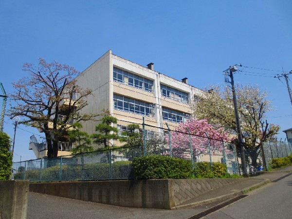 周辺環境:平小学校(創立昭和52年4月。教育目標は「元気な子、考える子、やさしい子、がんばる子」)