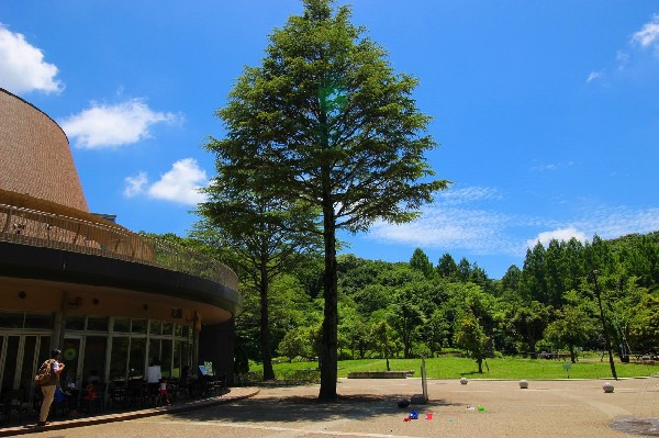 周辺環境:生田緑地(爽やかな風が通り、豊かな自然をそのままいかした広大な緑地。広場、プラネタリウム、バラ園など、幅広い世代が楽しめるのも魅力です。)