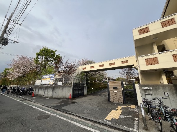周辺環境:やまた幼稚園(やまた幼稚園は文部科学省が推進する国際バカロレア初等教育プログラム(IB-PYP)の認定校。)
