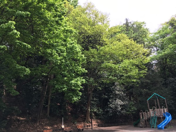 周辺環境:篠原町会下谷公園(昔の樹林地が残る公園。複合遊具と砂場があります。)