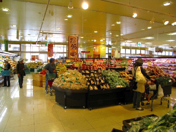 周辺環境:ヨークマート妙蓮寺店(幹線道路沿いにあり、自転車や車で立ち寄りやすい駐車場完備のスーパーです。)