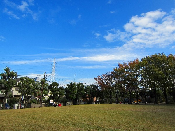 周辺環境:王禅寺公園　(閑静な住宅街の中にある公園です。遊具のある広場が二か所あるほか、原っぱや公園の真中に遊歩道があります。野鳥もおり、自然にいやされます。)