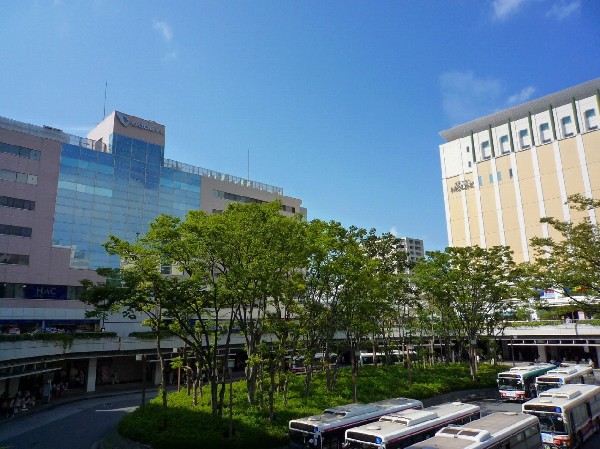 周辺環境:新百合ヶ丘駅　(ショッピングモールや映画館のある駅ビルが立ち並ぶ人気の駅です。区役所等の公共機関も多数集まっており便利です。)
