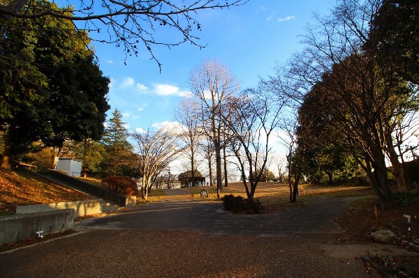 周辺環境:市ケ尾町公園　(東名高速道路の脇にある自然豊かな公園です。)