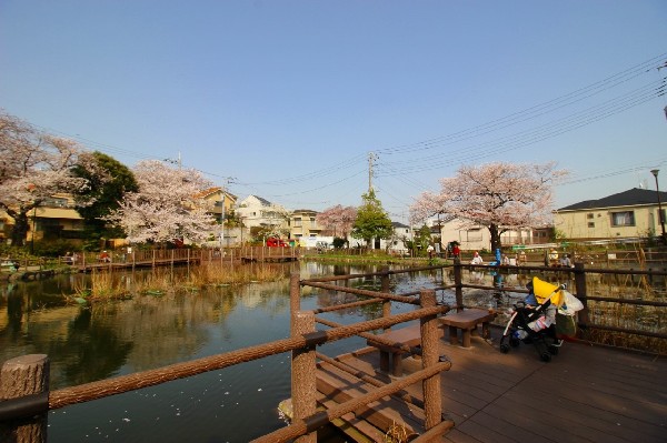 周辺環境:白幡池公園(滑り台、ブランコ、鉄棒がある遊びの広場と、魚釣りができる白幡池があります。お子さんと一緒に釣りを楽しんでみてはいかがでしょうか。)