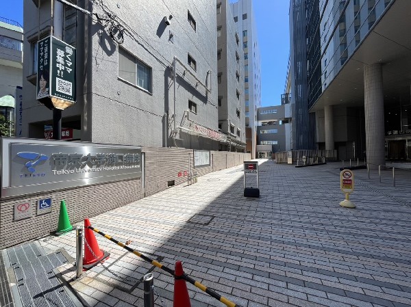 周辺環境:帝京大学医学部附属溝口病院(総合病院がこれだけ近くにあると、いざという時も安心ですね。  )