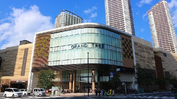周辺環境:グランツリー武蔵小杉 (再開発の一環として2014年にOPEN。小杉駅の発展と共に注目を集め、現在でもファミリー層の人気は衰えず。屋上庭園は憩いの場)