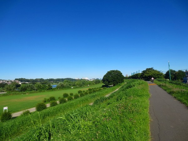 周辺環境:多摩川(サイクリングやペットとのお散歩、お子様とのキャッチボールなど、暮らしをより充実させてくれる住環境です。)