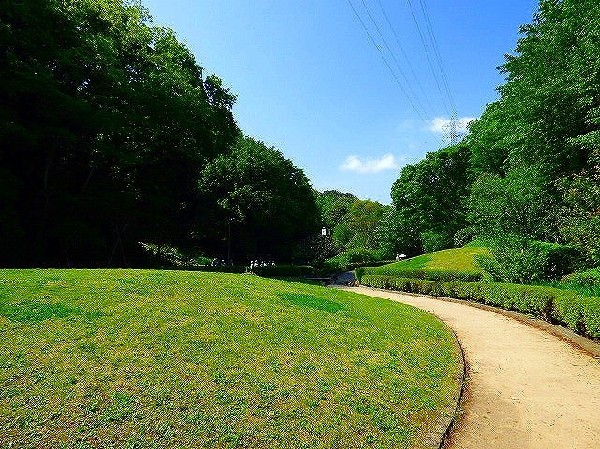 周辺環境:東高根森林公園(休日には、ランニングする人やお弁当を広げてピクニックするご家族で賑わいます。)