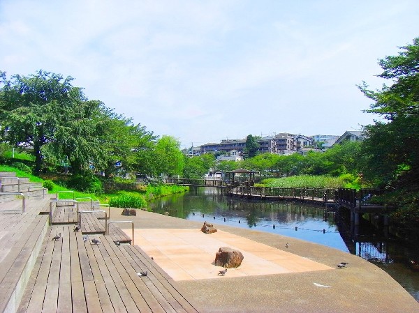 周辺環境:岸根公園 (駅隣接の広くて有名な公園。じゃぶじゃぶ池やアスレチック、大きな芝生広場など、お弁当を持ってピクニックにくる方も大勢います。駐車場も完備。)