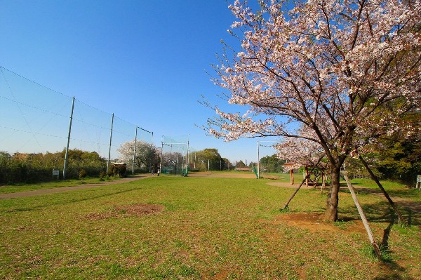 周辺環境:たちばなふれあいの森（高津区市民健康の森）　春日台公園(野球場が併設されている広々とした公園。都市圏にありながら森林浴が楽しめるほど、自然豊かな場所です。)