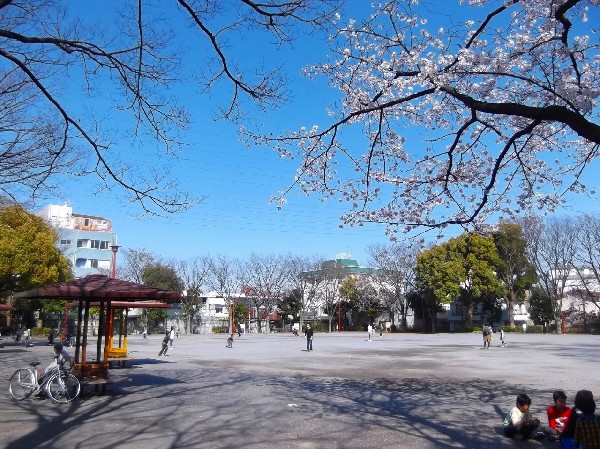 周辺環境:橘公園(大きな複合遊具や広いグラウンド、水遊びもできる遊水広場などがある。)