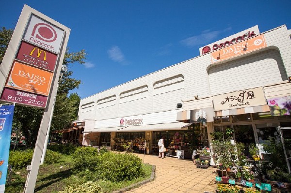 周辺環境:ピーコックストア国立さくら通り店(100円ショップダイソーも入るスーパーマーケットです。)