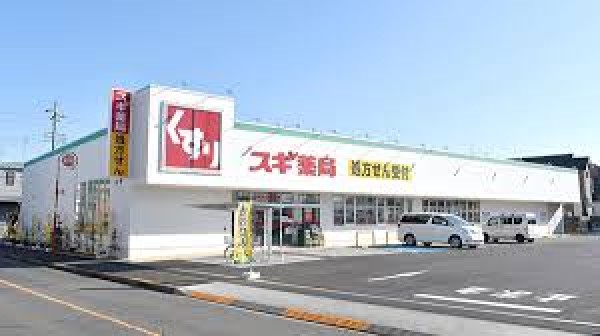 周辺環境:スギ薬局恩多町店