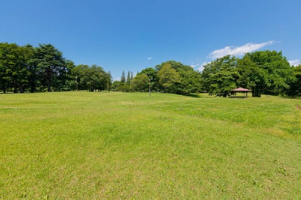 周辺環境:野川緑地公園(約40万平方メートルの広大な都立公園で、武蔵野の台地に広がる野草や野鳥、昆虫など自然の宝庫です。)