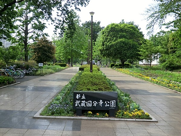 周辺環境:武蔵国分寺公園(周500ｍの円形芝生広場を中心にサクラ・ケヤキ・イチョウなどの巨木や滝、池、噴水がバランスよく配置された、水と緑のゆったりした公園です。)