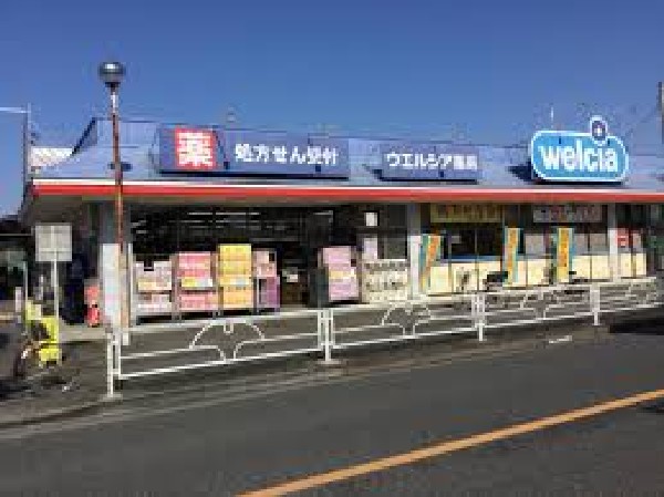 周辺環境:ウエルシア立川若葉店