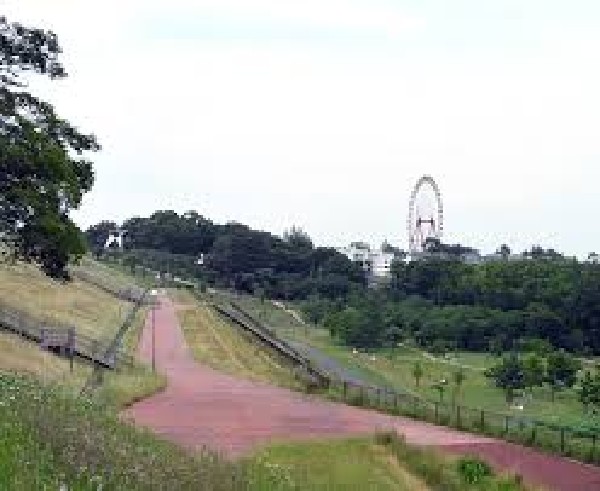 周辺環境:都立狭山自然公園