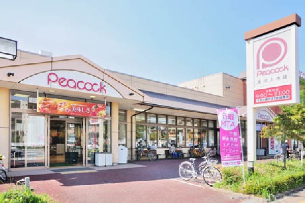 周辺環境:ピーコックストア玉川上水店(国内の高品質・新鮮食材のほか、輸入食材や他では買えない珍しい食品などを扱う高級スーパーだが、玉川上水店は他の店舗よりやや庶民的です。)