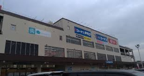 周辺環境:ロピア田無店