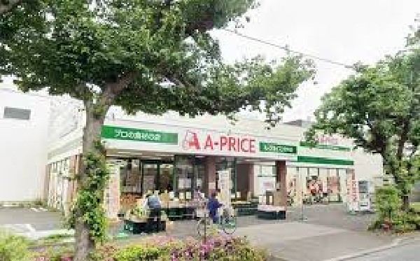 周辺環境:Aプライス府中市場店