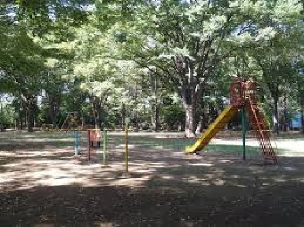 周辺環境:北野公園