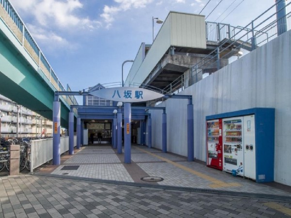 周辺環境:八坂駅