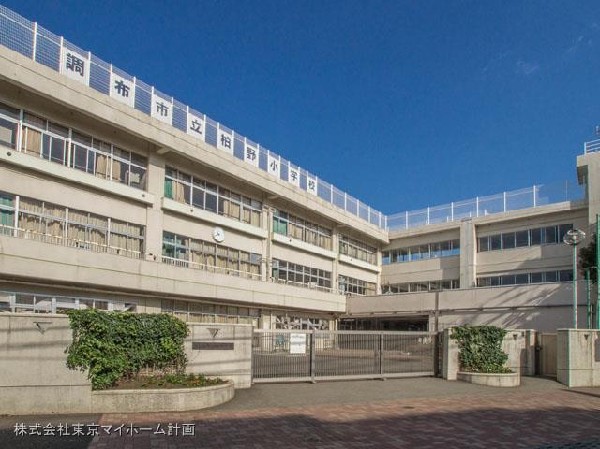 周辺環境:調布市立柏野小学校