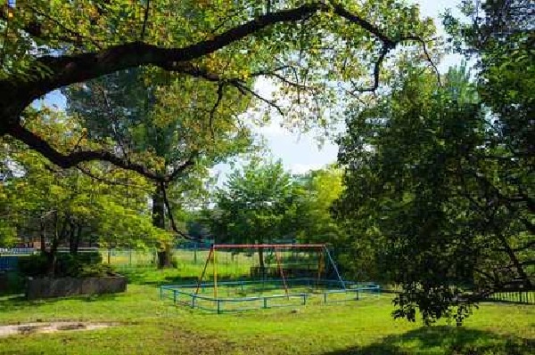 周辺環境:白山公園(公園を囲むように外周には桜の木が植えられ、満開を迎える春には美しい花吹雪が見られる。)