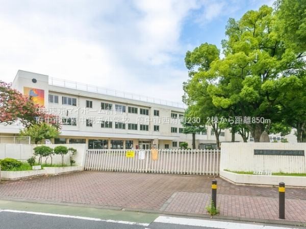 周辺環境:府中市立府中第五小学校