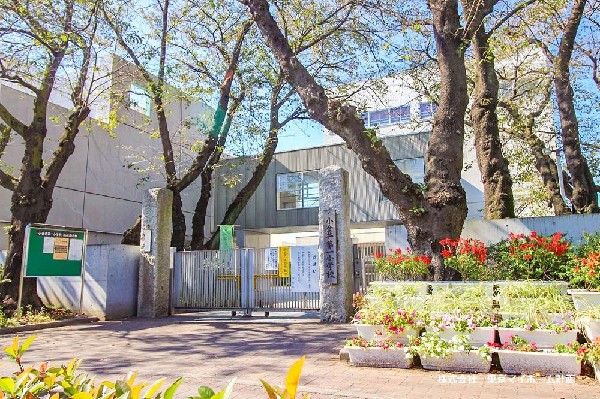 周辺環境:小金井市立第一小学校