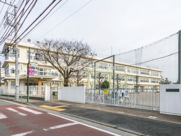 周辺環境:府中市立府中第七小学校