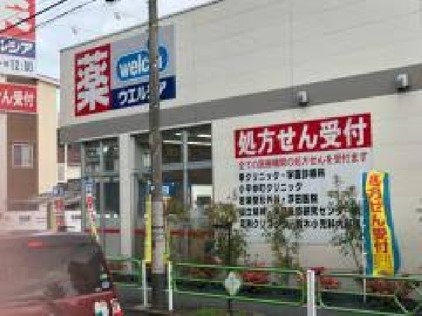 周辺環境:ツルハドラッグ小平小川店