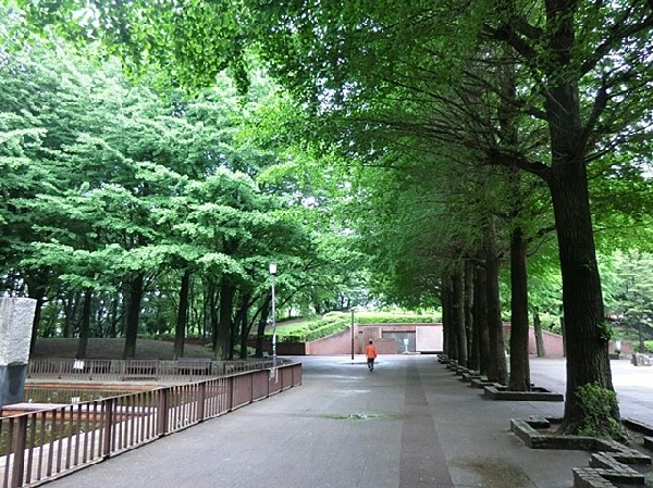 周辺環境:小平中央公園