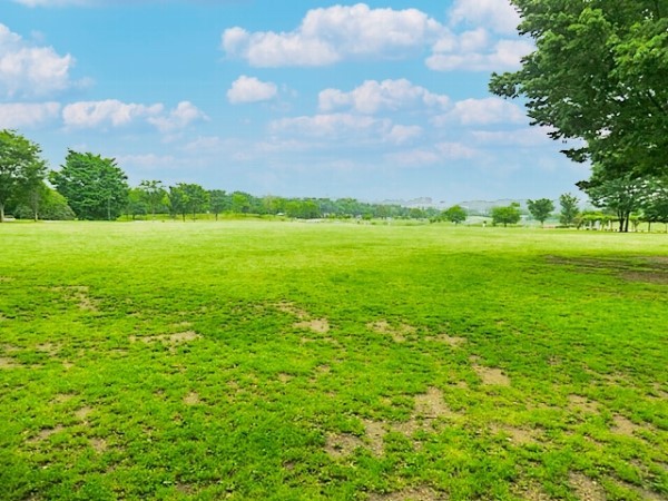 周辺環境:武蔵野の森公園