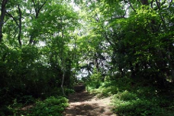 周辺環境:黒鐘公園(崖線部分に、コナラやクヌギなどの雑木林がうっそうと生い茂り、かつての武蔵野の面影を色濃く残しています。)