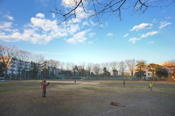 周辺環境:けやき公園(公園内は、雑木林と水路が広がっており、グラウンドでは少年野球の練習や試合が行われ、ときには大人たちが草野球に熱中していることも。)