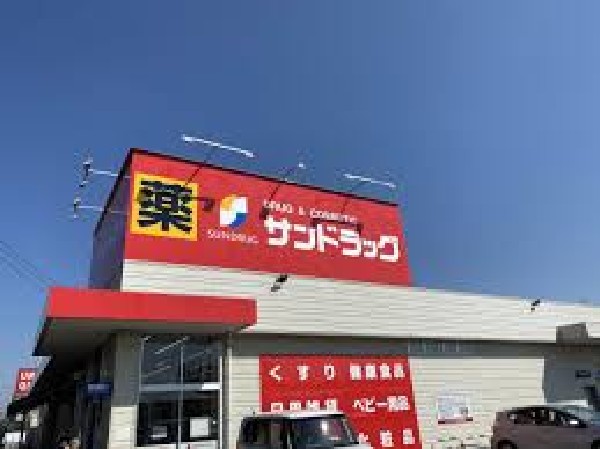 周辺環境:サンドラッグ小平大沼町店