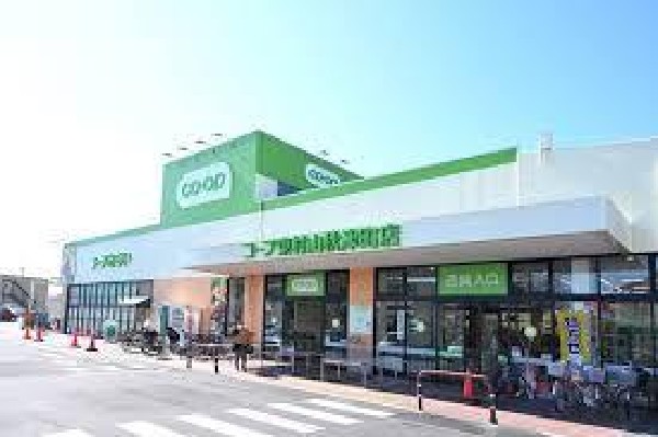 周辺環境:コープ東村山秋津町店