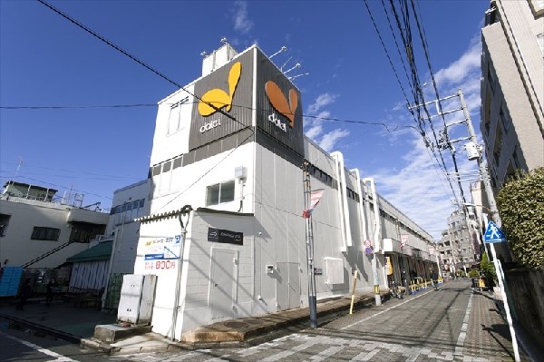 周辺環境:ダイエー国立店(日用品・日用消耗品・化粧品・ペット関連・肌着・お酒など、日常に必要な様々なものが手に入るお店です。)