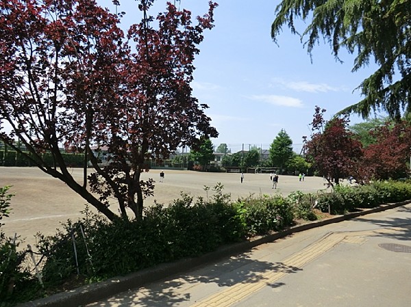 周辺環境:上水公園(グランドでは、野球・ソフトボール・サッカー・ゲートボールなどが出来ます。テニスコートはクレーコートで2面有ります。)