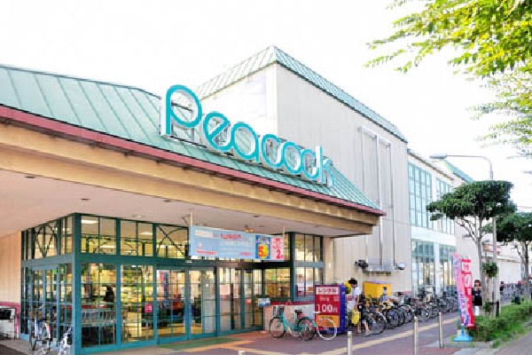 周辺環境:ピーコックストア東小金井店(1階に生鮮食料品や衣類・日用雑貨、ファストフード店の「マクドナルド」、2階にレンタルショップの「GEO」と書店の「文教堂」が入っています。)