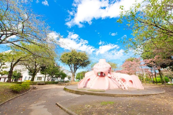 周辺環境:田無市民公園(園内にあるタコの形をしたすべり台が人気を呼び、通称タコ公園の名で親しまれています。また、夏期には流れやジャブジャブ池なども子供たちの格好の遊び場です。)