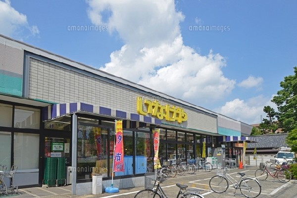 周辺環境:いなげや府中美好町店(9時30分から22時00分まで営業しており、駐車場も42台分完備している大型店です。)