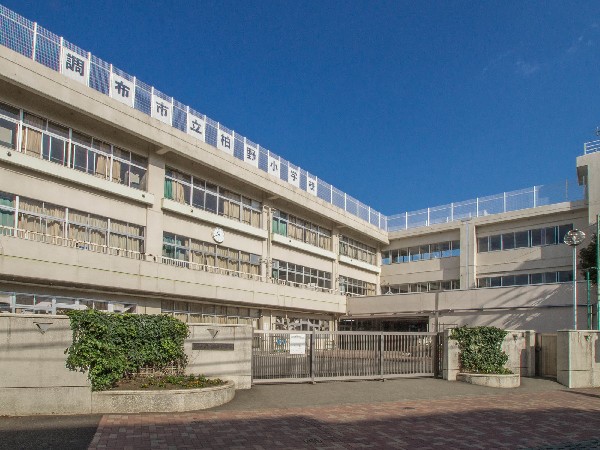周辺環境:調布市立柏野小学校(登校距離も近く、小学生のお子様がいらっしゃるご家庭にはうれしいですね。)
