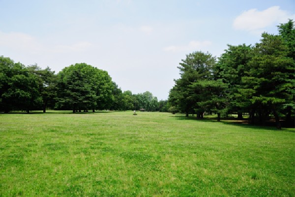 周辺環境:野川公園(調布市・小金井市・三鷹市の3市にわたる、約40万平方メートルの広大な都立公園です。)