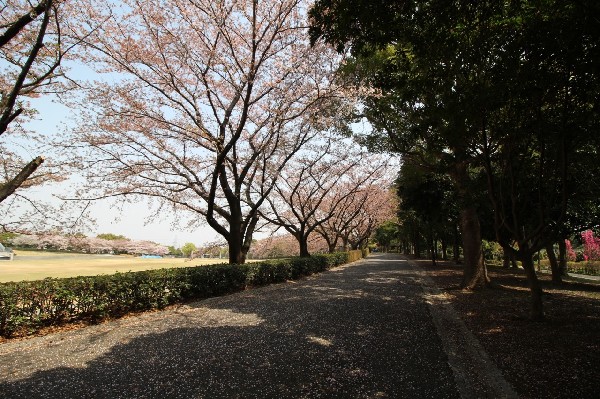 稲城市坂浜　新築一戸建　4290万円　C号棟